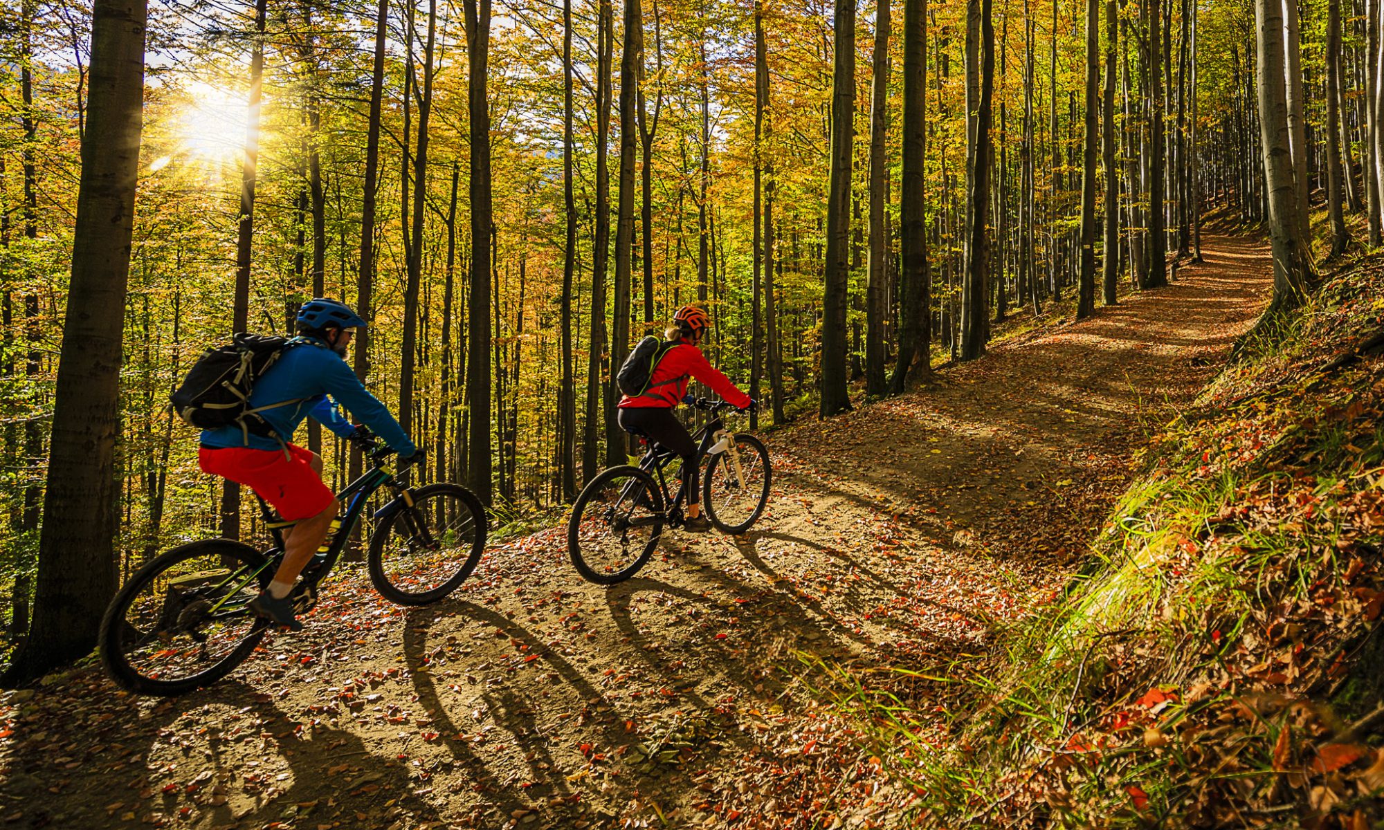Southwest Michigan Mountain Biking 